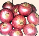 Onion