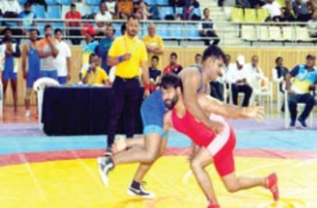 हरियाणा के पहलवानाें ने चार स्वर्ण पदक जीते